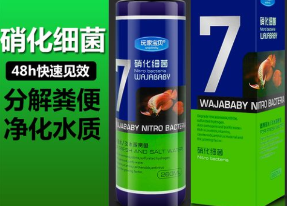 怎么养硝化菌 怎么养硝化菌