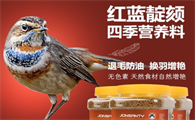 靛颏鸟饲料经典配方