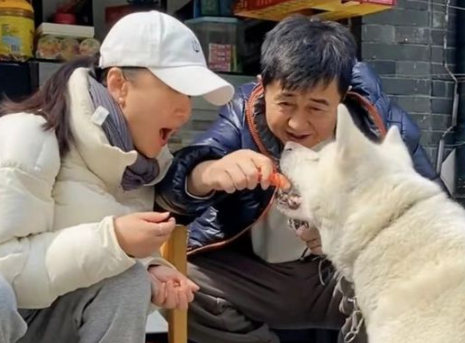 付笛生在工地旁喂流浪狗，意外被狗咬疼到咧嘴