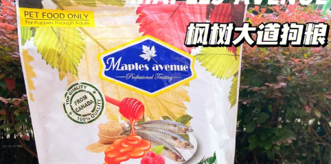 枫树大道品牌属于哪个国家,是什么档次? 枫树大道品牌属于哪个国家,是什么档次?