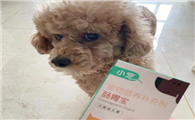 狗狗益生菌的用量