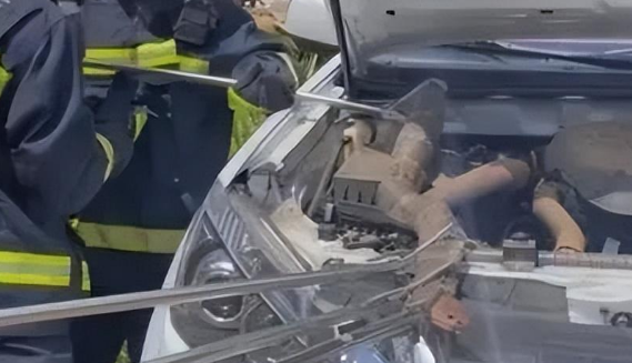 4米长眼镜王蛇被5岁儿童发现，吓得居民逃离，却被捕蛇人轻易拿捏