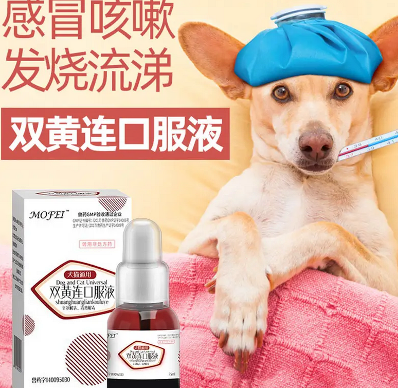 喂狗狗咳嗽吃什么药 喂狗狗咳嗽吃什么药
