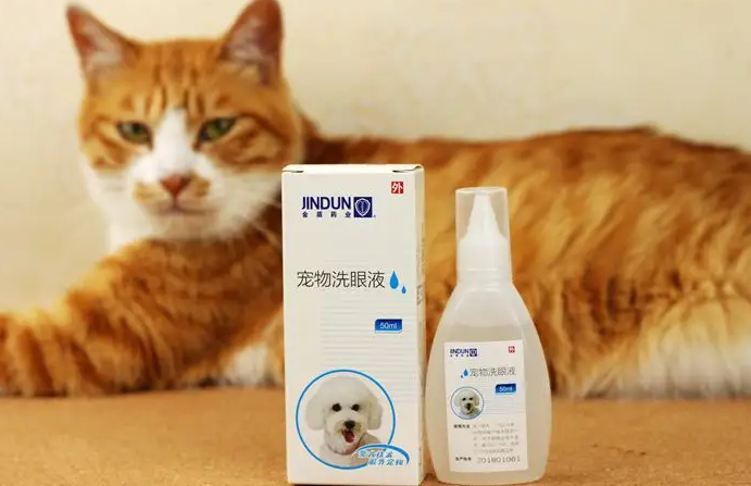 猫咪常用眼药水去哪里买