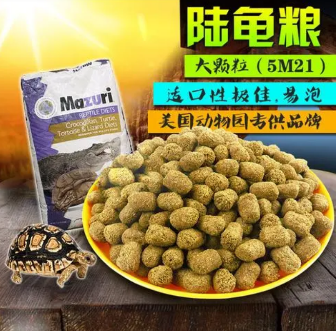 哪里可以购买18式陆龟龟粮