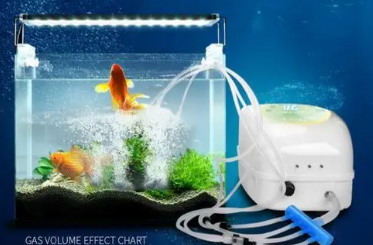 鱼缸增氧泵是放在水里吗