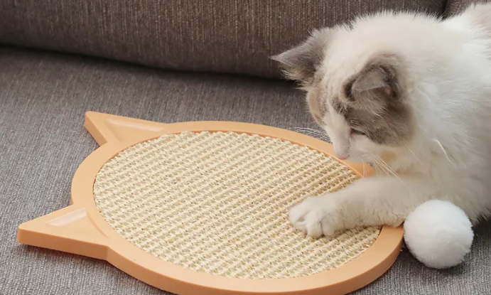 猫抓板买什么样的好