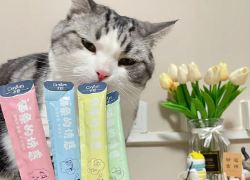 两个月的猫可以吃猫条吗