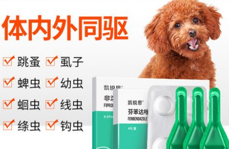 狗狗体内驱虫会有什么症状