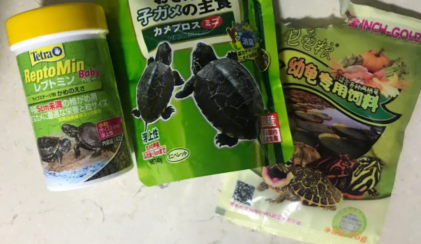 龟粮人可以吃吗