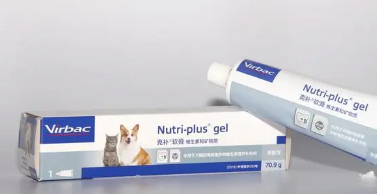 狗狗能吃猫的营养膏吗 狗狗能吃猫的营养膏吗