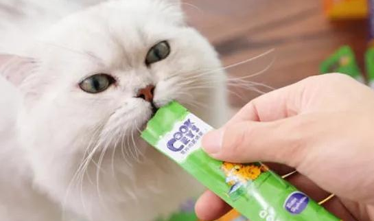 猫条是什么味道