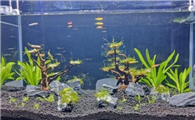 40方缸用多少水草泥