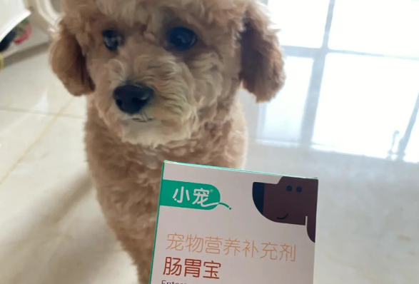 宠物益生菌有哪些