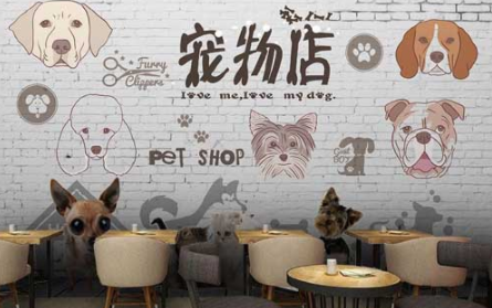宠物店一年利润怎么样 宠物店一年利润怎么样