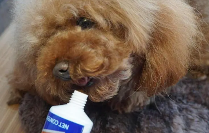 狗的营养膏有用吗