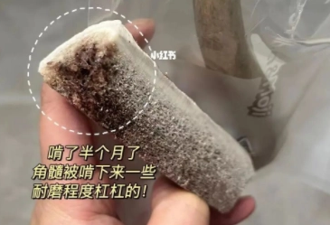 自从有了吉辛鹿角磨牙棒，“主人”再也不用担心磨牙问题