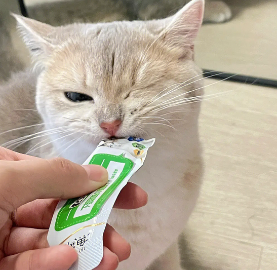 猫可以吃猫条吗