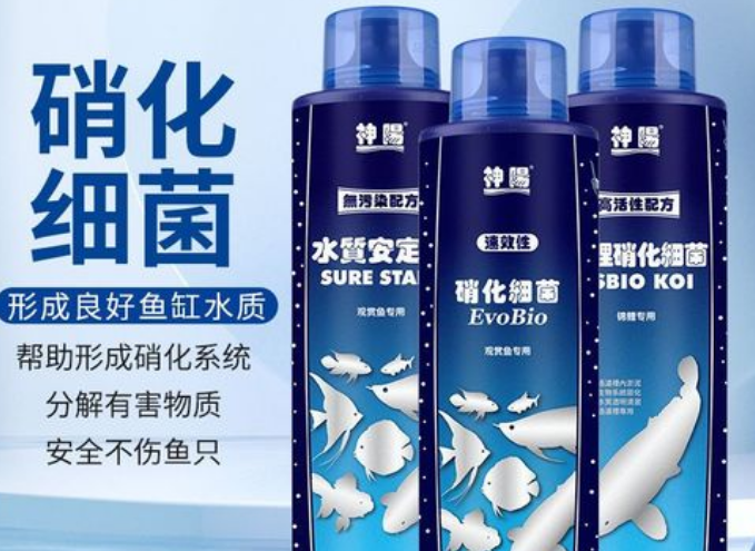硝化菌和反硝化菌作用 硝化菌和反硝化菌作用