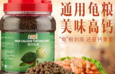 鱼能不能吃龟粮