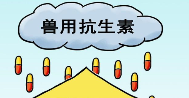恩诺沙星在兽医临床上的应用及注意事项 恩诺沙星在兽医临床上的应用及注意事项