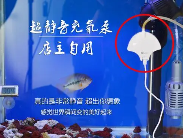 鱼缸增氧泵怎么清洗