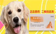 狗皮肤发炎用啥消炎药
