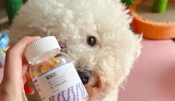狗狗鱼油可以用什么代替