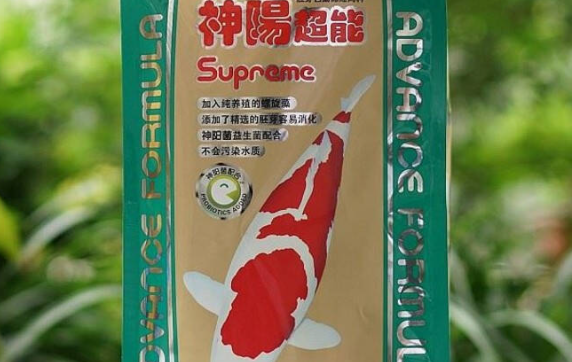 锦鲤十大鱼粮品牌大全