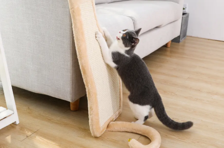 猫抓板好还是猫抓柱好 猫抓板好还是猫抓柱好
