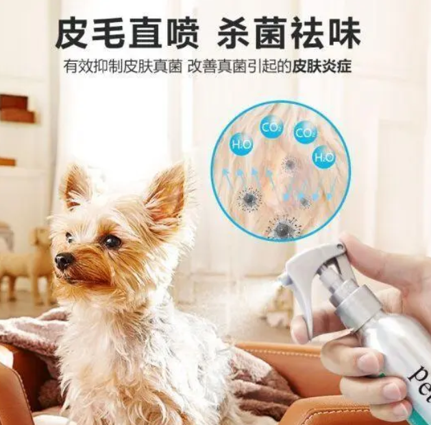 宠物能用的消毒液