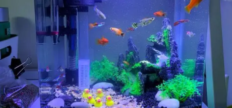 小鱼缸放水草好吗