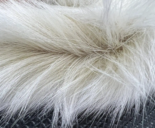 猫咪尾巴为什么会出油?说了你别不信 猫咪尾巴为什么会出油?说了你别不信