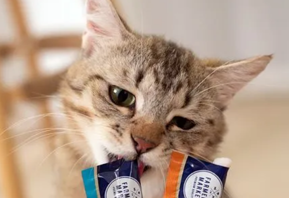 猫一天只能吃多少猫条