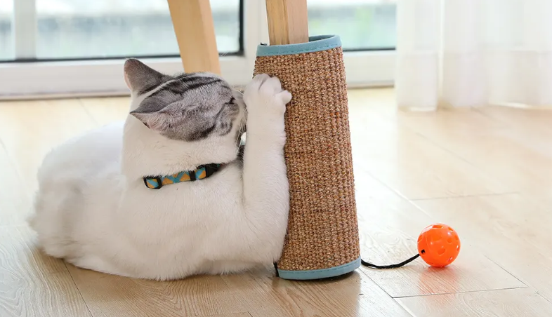 猫抓板怎么安装