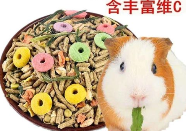 仓鼠粮渣粮是什么 仓鼠粮渣粮是什么
