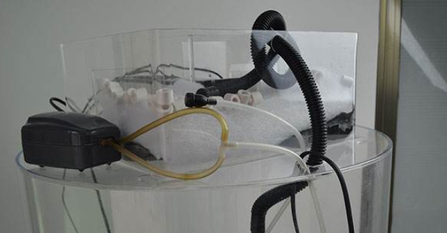 怎样安装鱼缸增氧泵 怎样安装鱼缸增氧泵