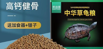 中华草龟龟粮多少钱 中华草龟龟粮多少钱