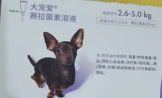 狗狗体外驱虫品牌 狗狗体外驱虫品牌