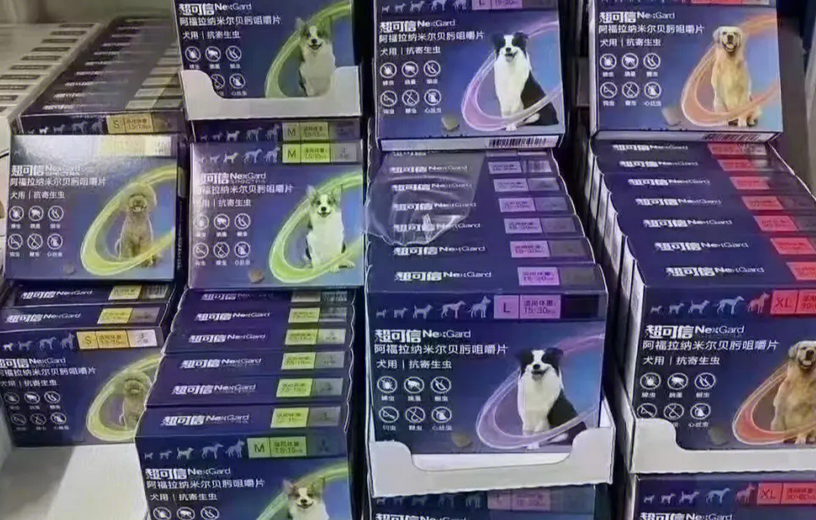 狗狗体内驱虫怎么喂 狗狗体内驱虫怎么喂