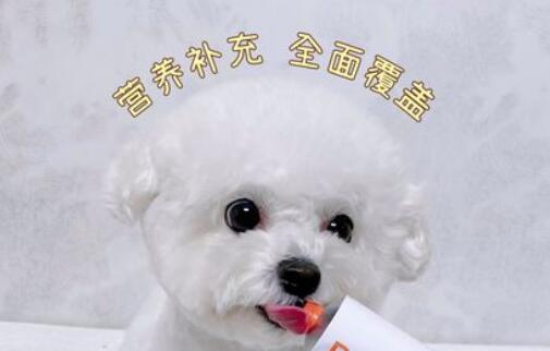 幼犬可以吃营养膏吗