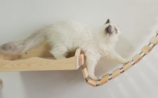 猫爬架可以用什么代替 猫爬架可以用什么代替