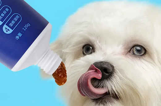 狗狗营养膏有用吗