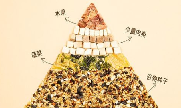 仓鼠吃什么鼠粮最好