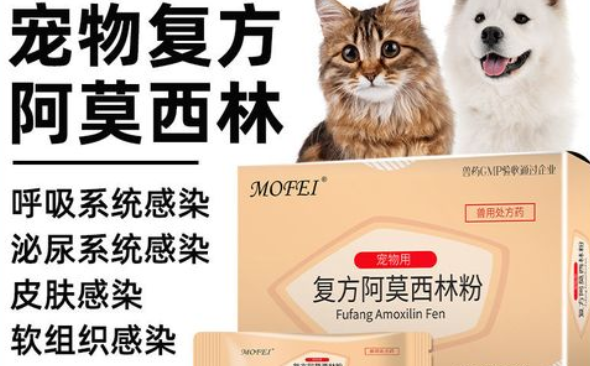 成年狗狗感冒吃什么药