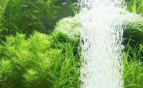 鱼缸增氧泵可以放在水里吗 鱼缸增氧泵可以放在水里吗