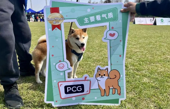 慧心助力沪上柴犬，吹响春日最in萌宠派对！
