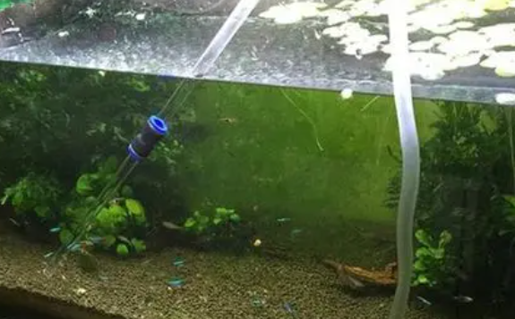 鱼缸种上水草怎么换水