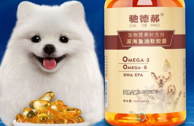 狗狗可以吃深海鱼油吗
