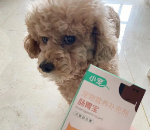 狗狗益生菌的用量